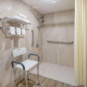 1 King Bed Mobility Accessible Room Roll Shower Non-Smoking